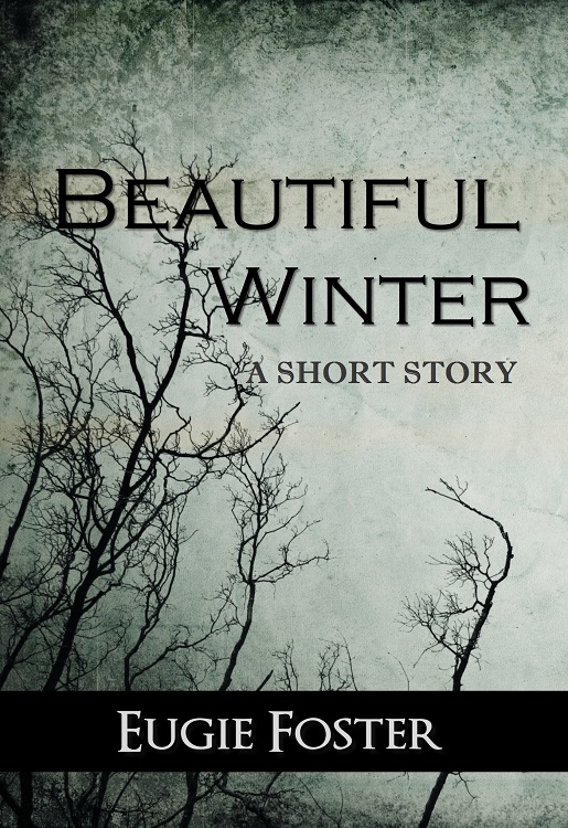 Beautiful Winter ebook ebook cover