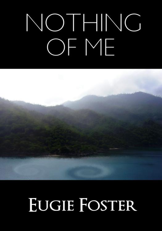 Nothing of Me ebook ebook cover